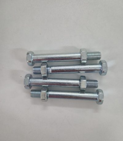 Bulong mái hiên lớn, ốc tay lớn